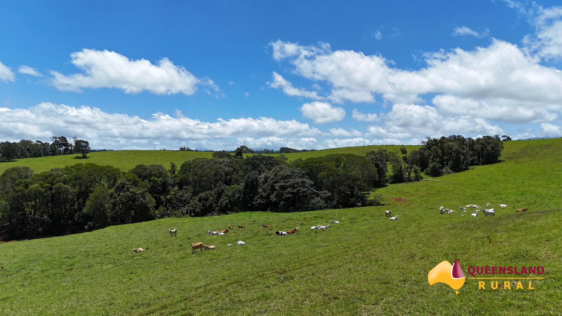 Additional image 8 of Malanda QLD 4885