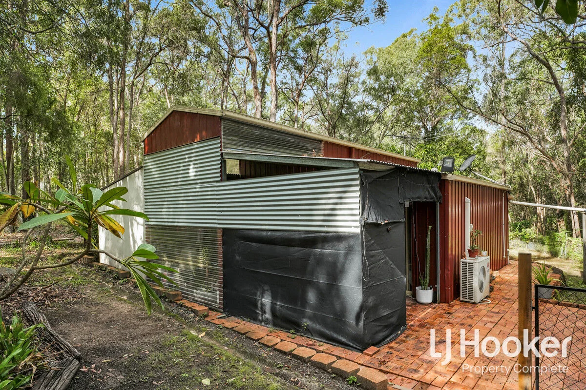 Image 19