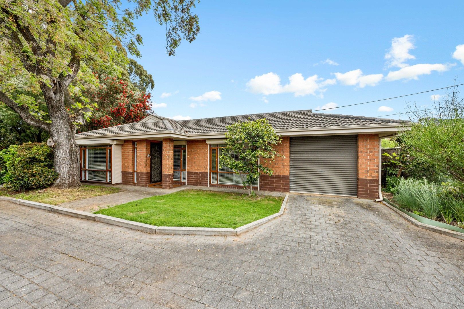 11/3 Hammond Street, Clarence Park SA 5034, Image 0