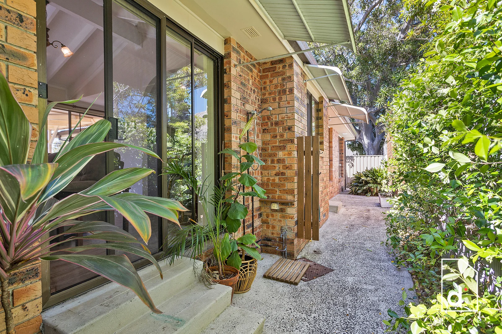 Image 12