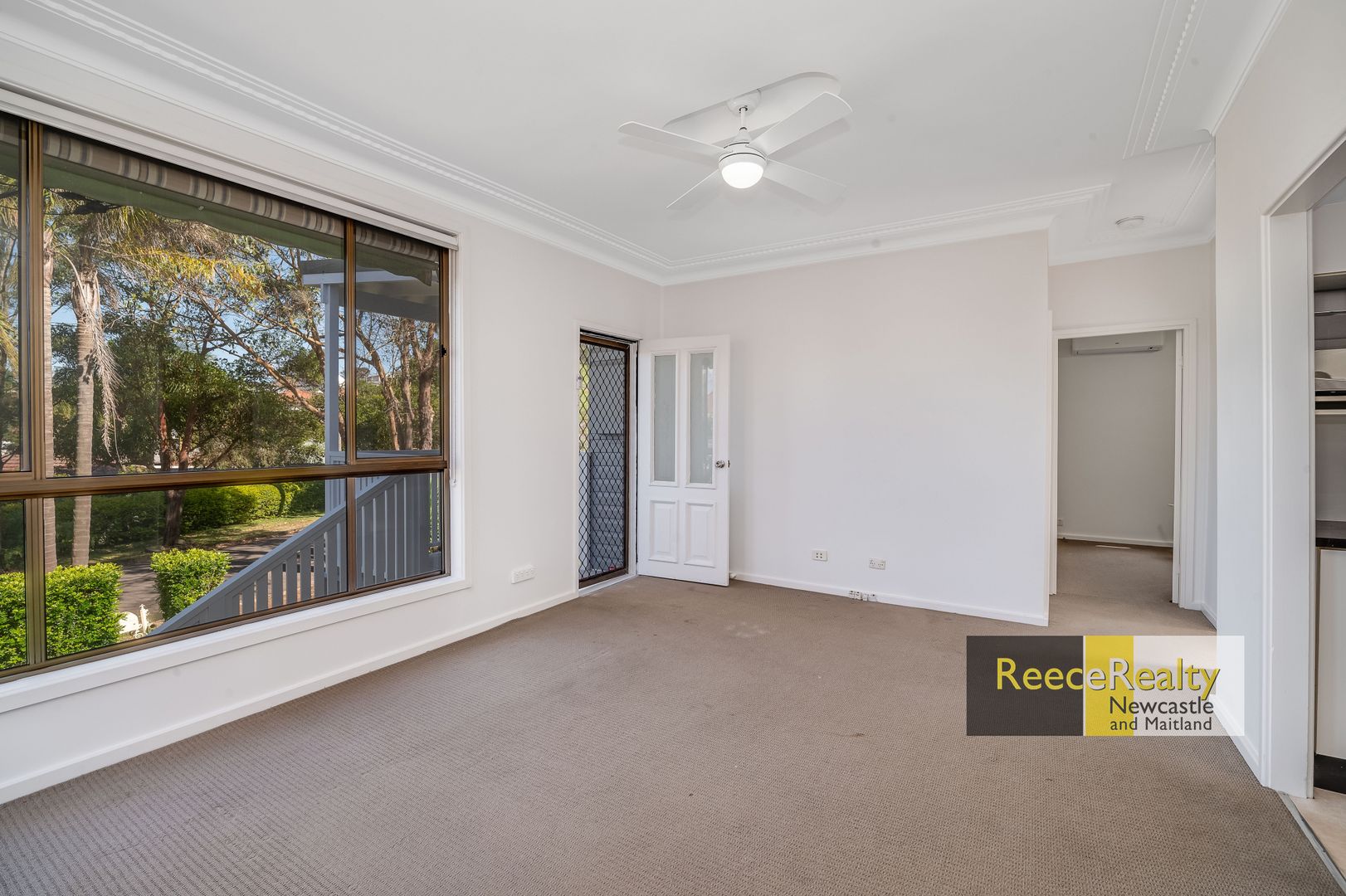 12 Branxton Street, Waratah West NSW 2298, Image 1