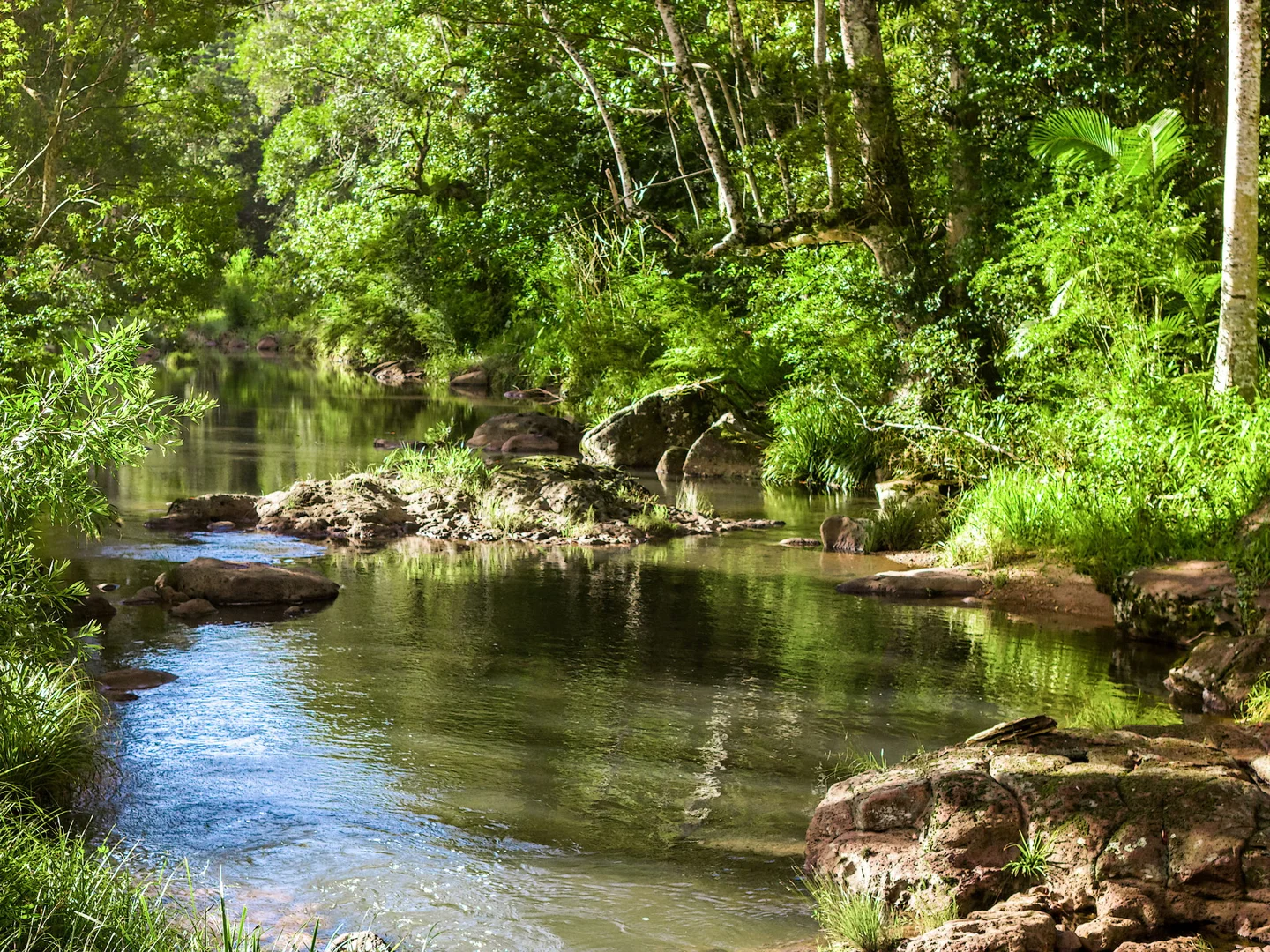 Additional image 4 of 1028 Wilsons Creek Road, Wilsons Creek NSW 2482