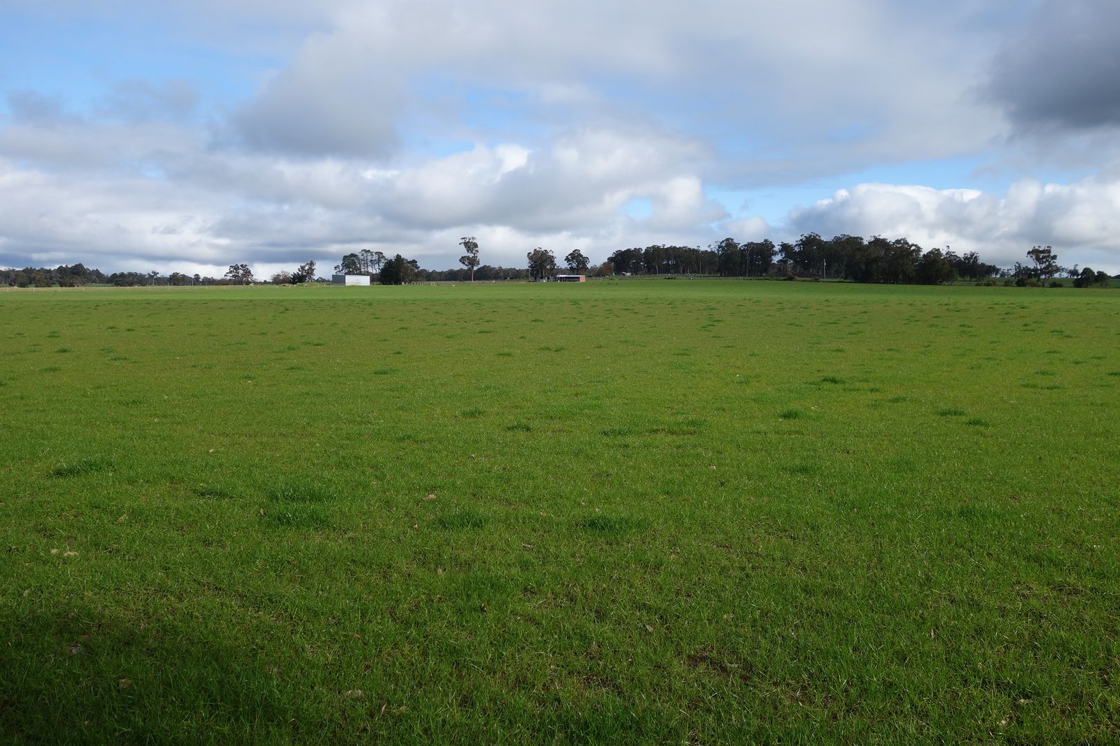 Lot 101 Bessell Road, Rosa Brook WA 6285, Image 1