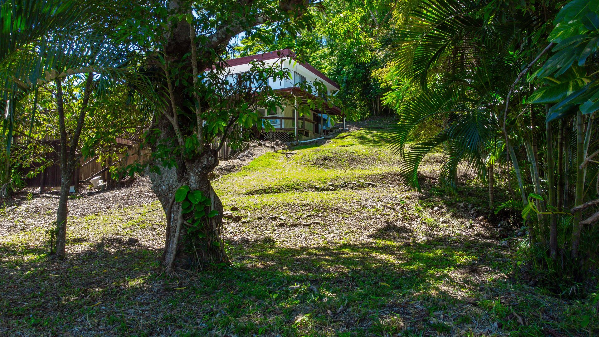 72a Hillview Crescent, Whitfield QLD 4870, Image 2