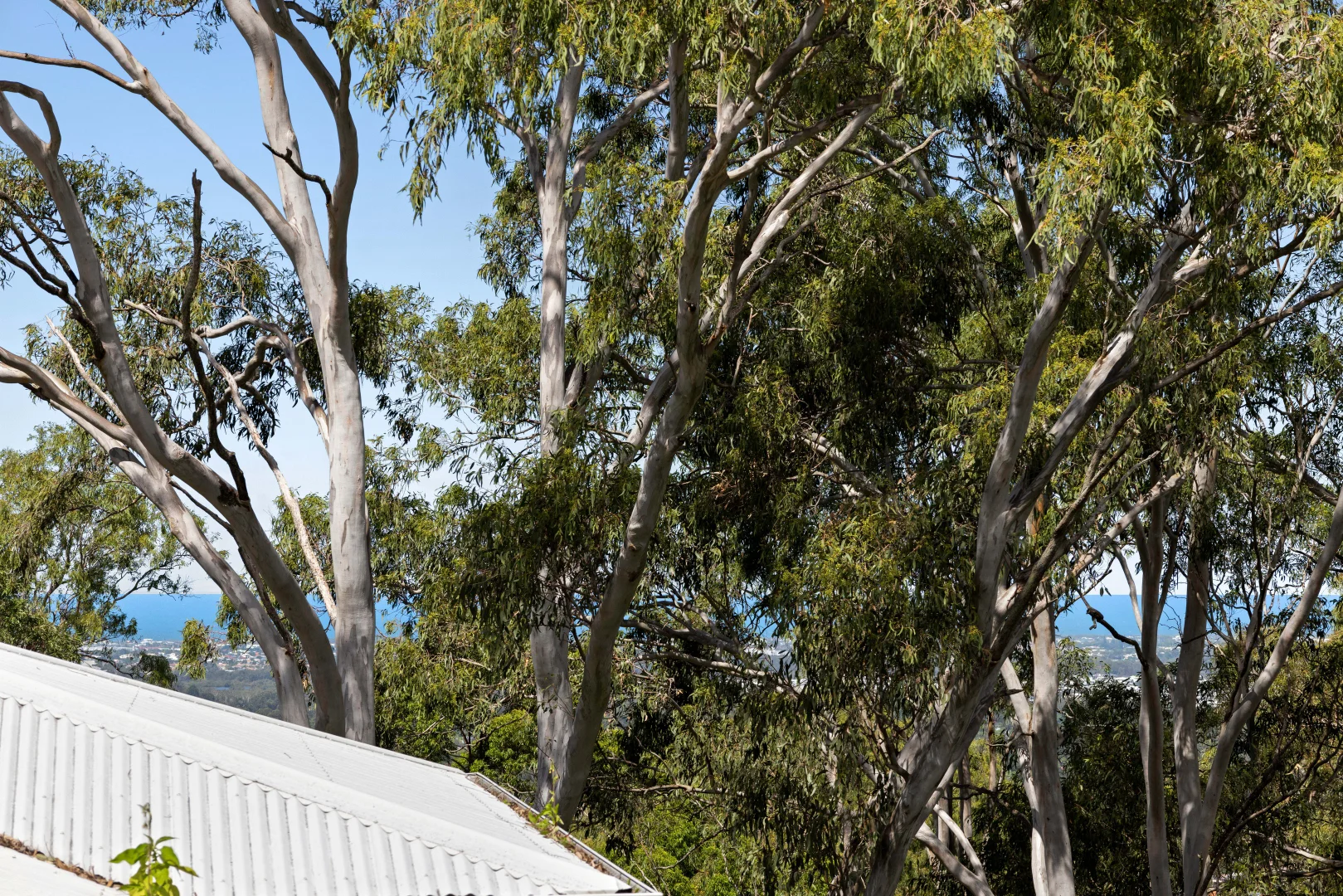 Additional image 12 of 194 Mooloolaba Road, Buderim QLD 4556