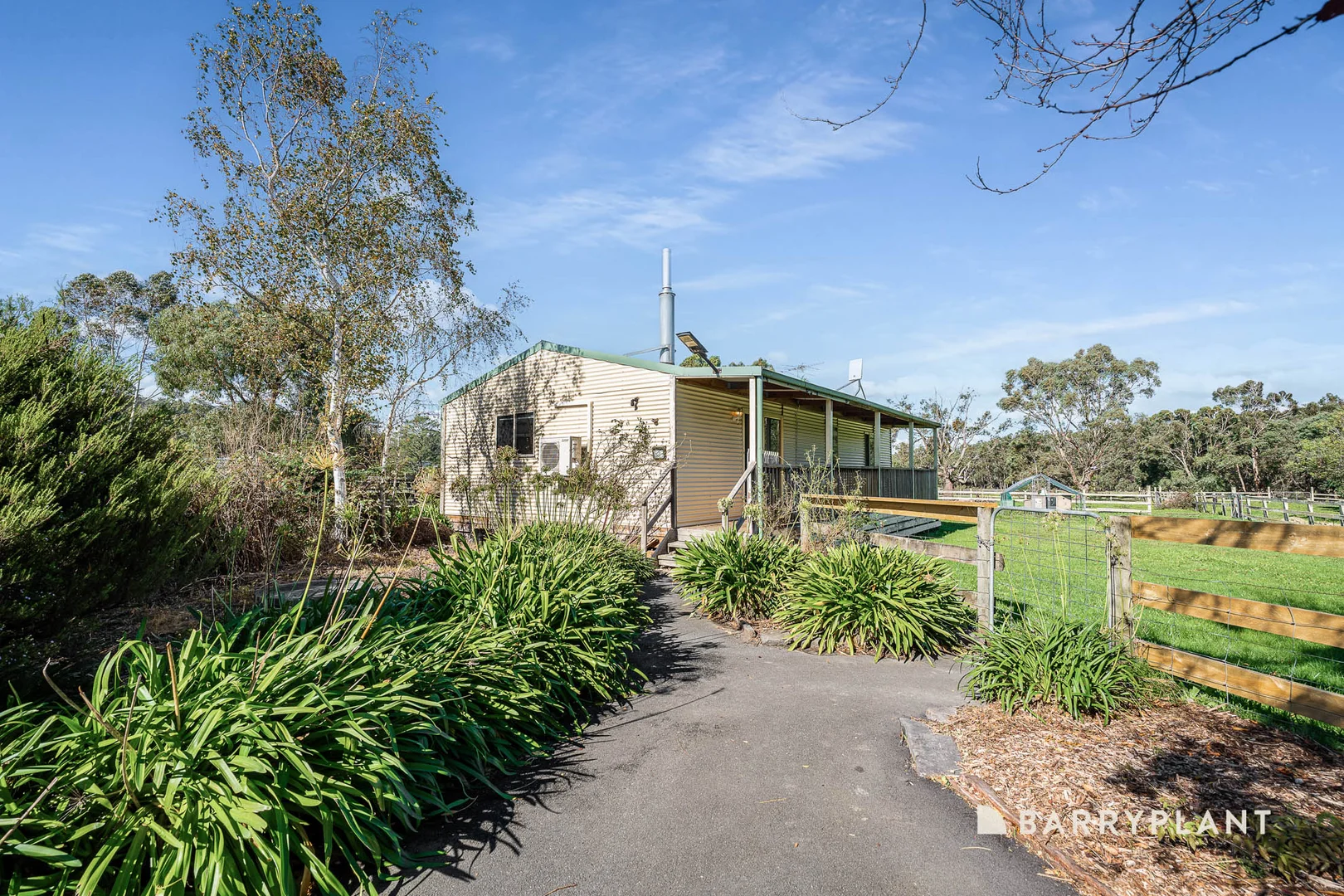 Image 13