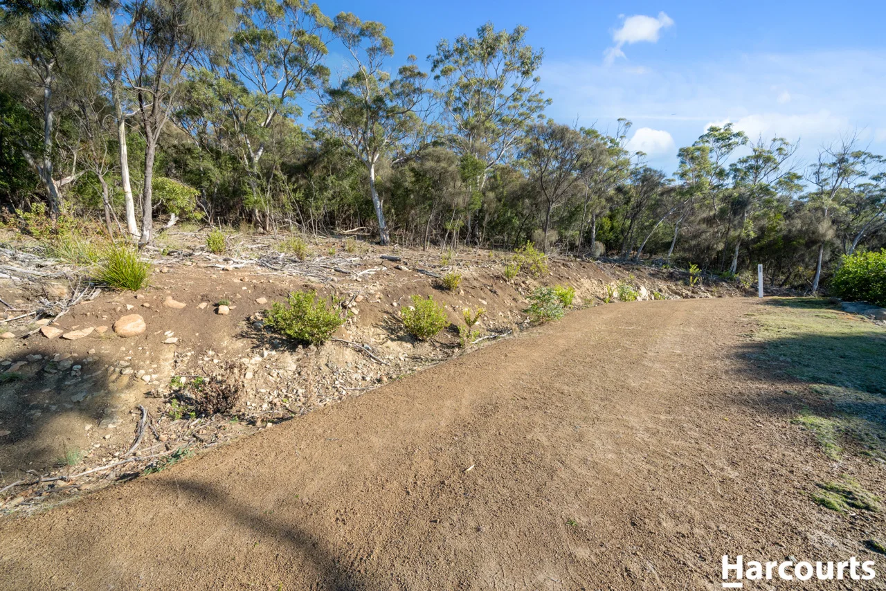 Image 15