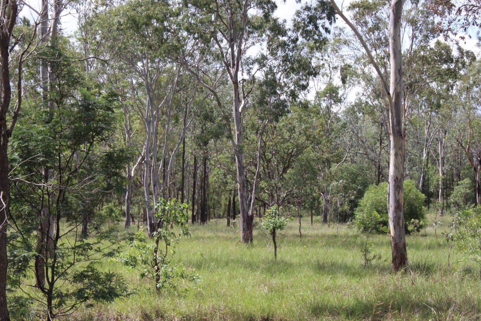 Lot 204 Burnett Street, Nanango QLD 4615, Image 1