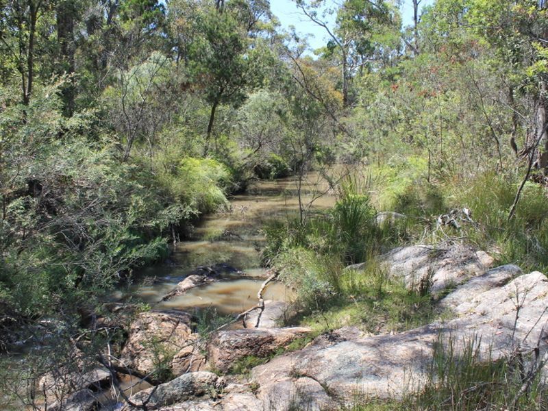 Lot 1 Catarrh Creek Road, Torrington NSW 2371, Image 1