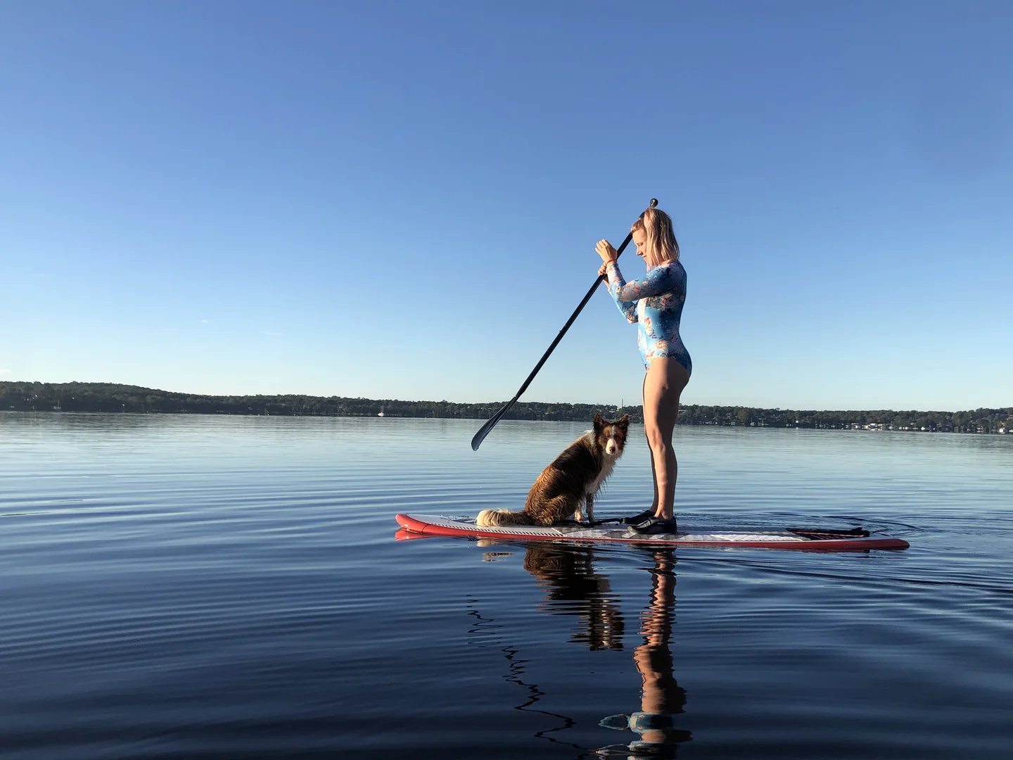 Additional image 26 of 60 Stingaree Point Drive, Dora Creek NSW 2264