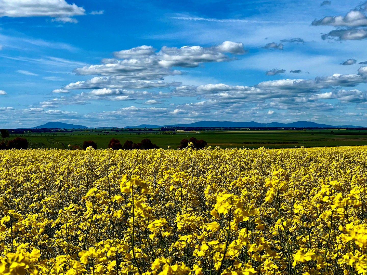 Estate Road, Lake Bolac VIC 3351 House for Sale Domain