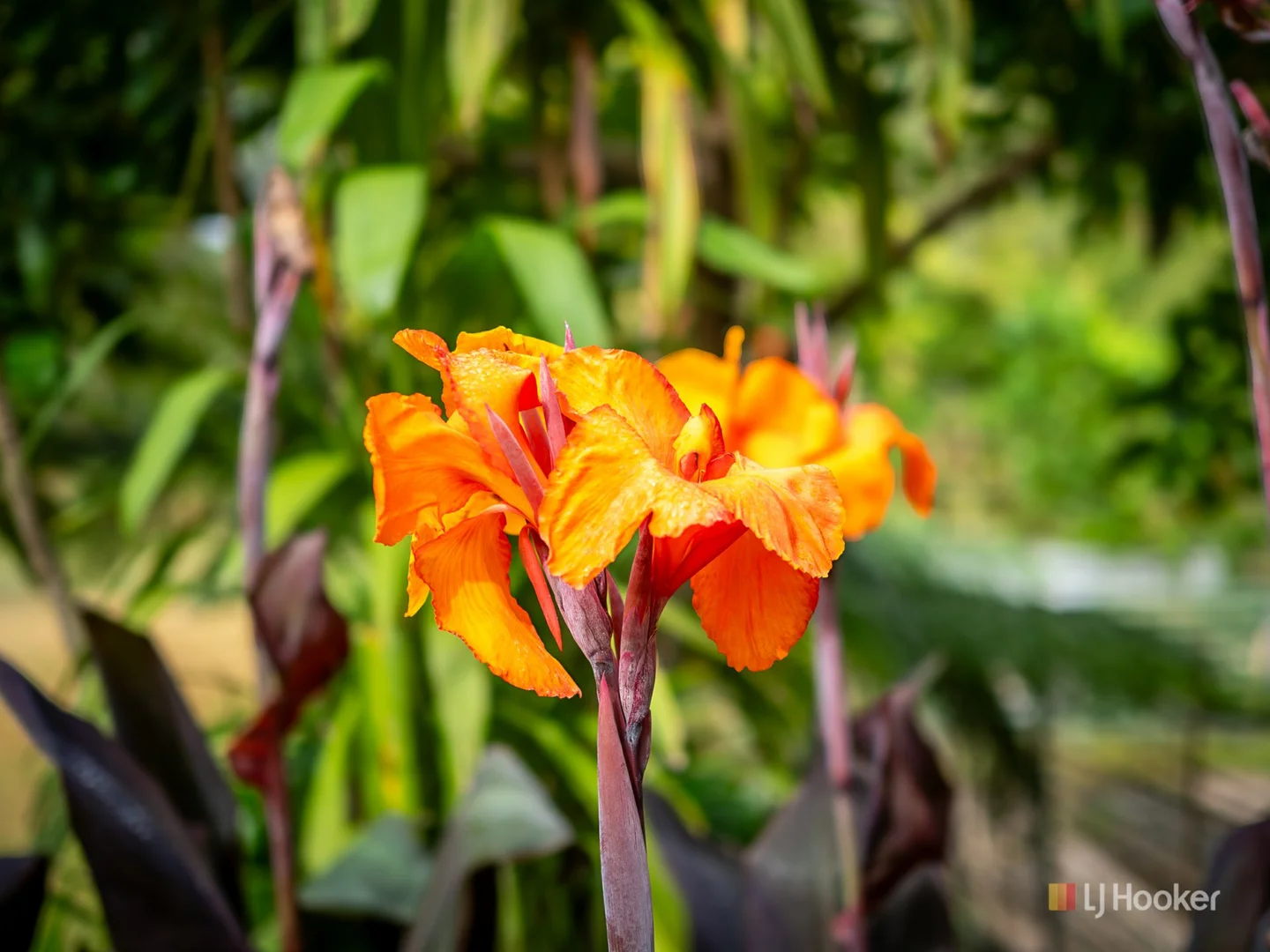 Additional image 18 of 19491 Bass Highway, Detention TAS 7321