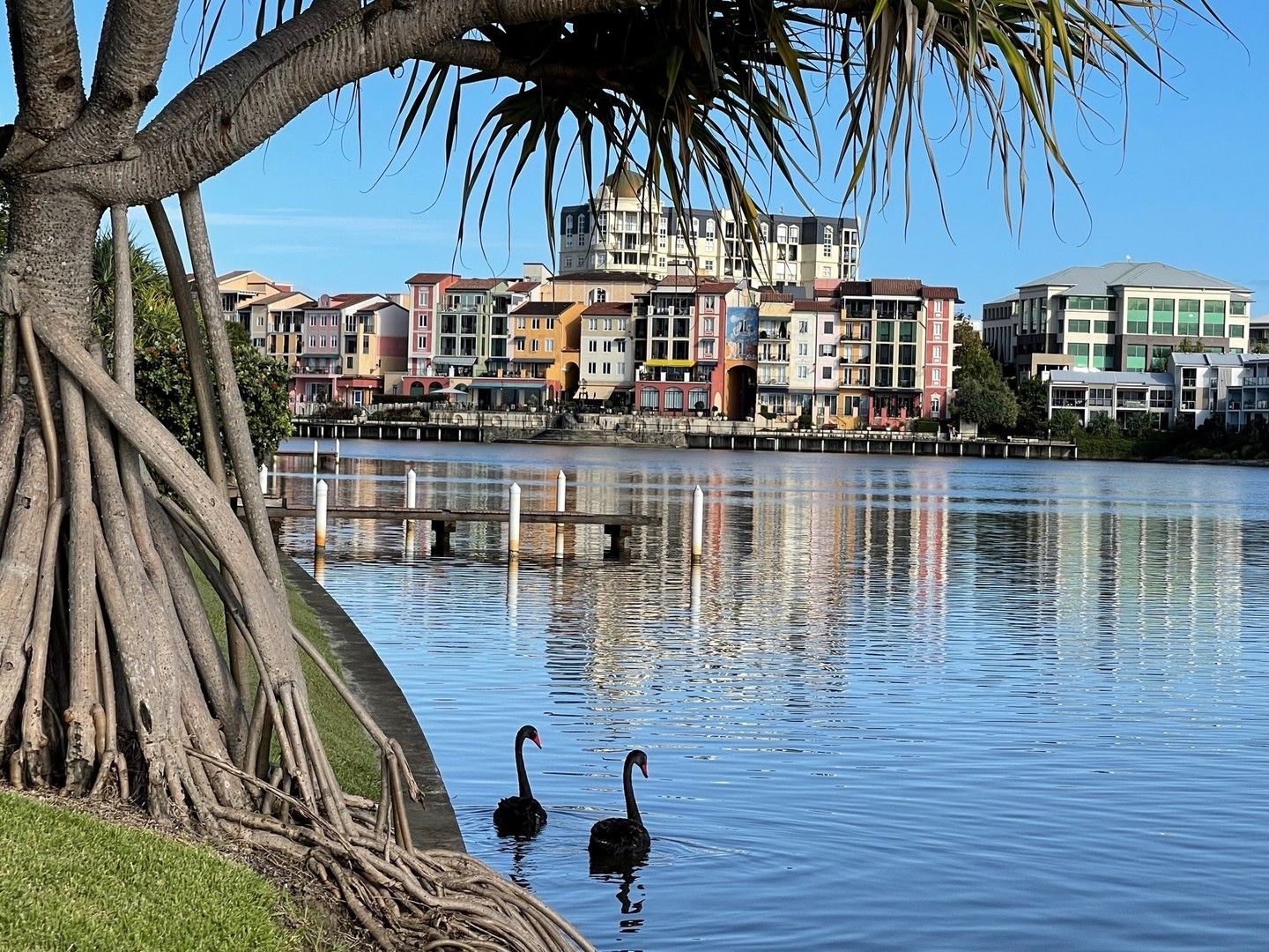 2 bedrooms Apartment / Unit / Flat in 53/3030 The Boulevard CARRARA QLD, 4211