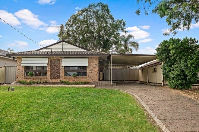 Picture of 3 Bligh Avenue, CAMDEN SOUTH NSW 2570