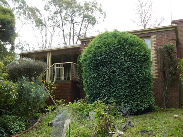 34 Red Hill Road, Red Hill VIC 3937