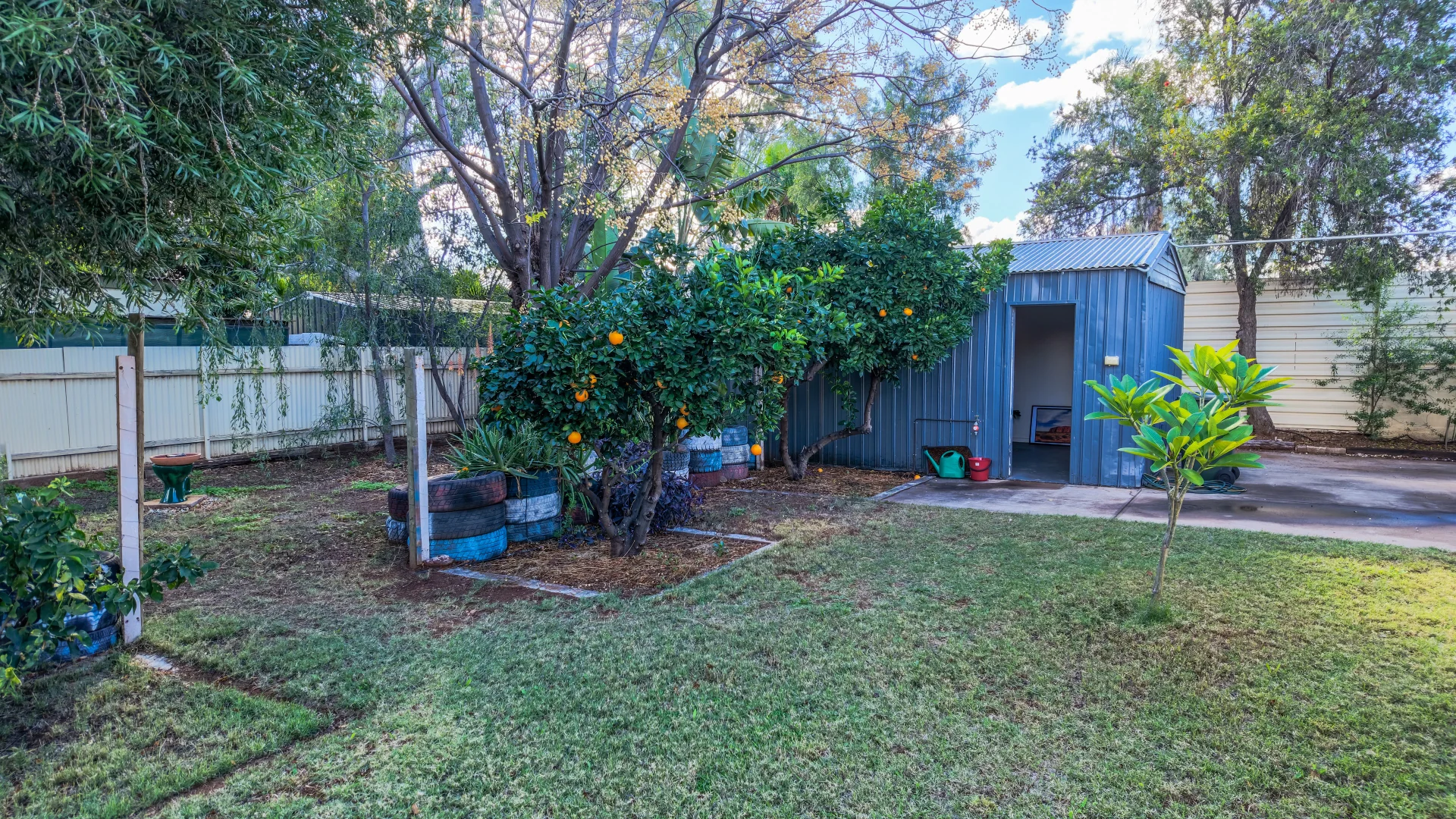 Image 11