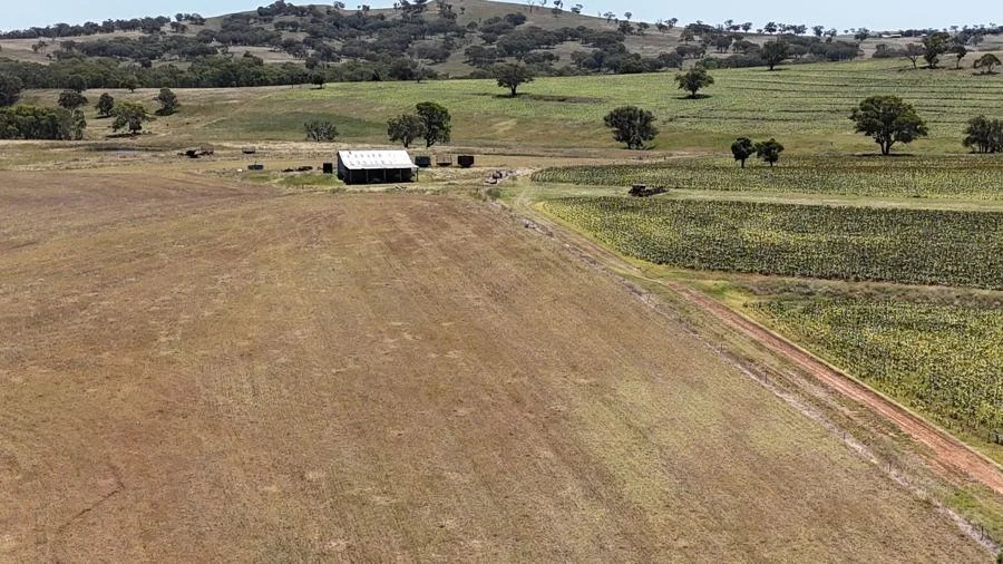 Image 8