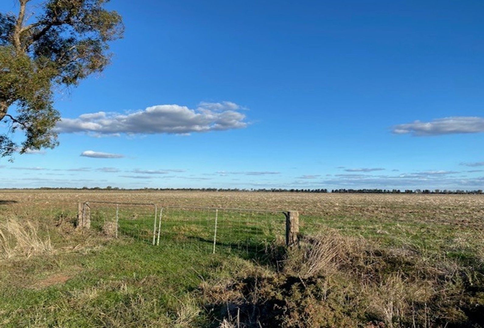 Farm 375 Maher Road, Leeton NSW 2705, Image 0