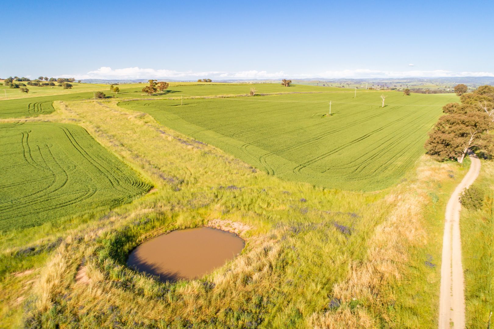 Binni Creek Road, Cowra NSW 2794, Image 2