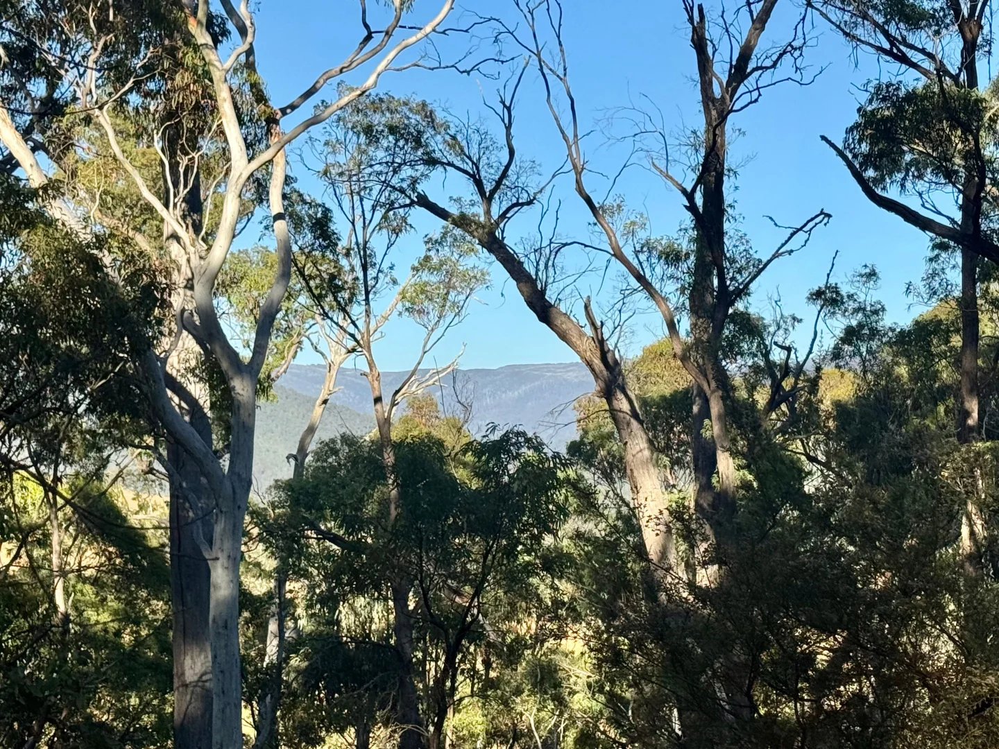 Additional image 27 of 141 Bogong High Plains Road, Glen Valley VIC 3898