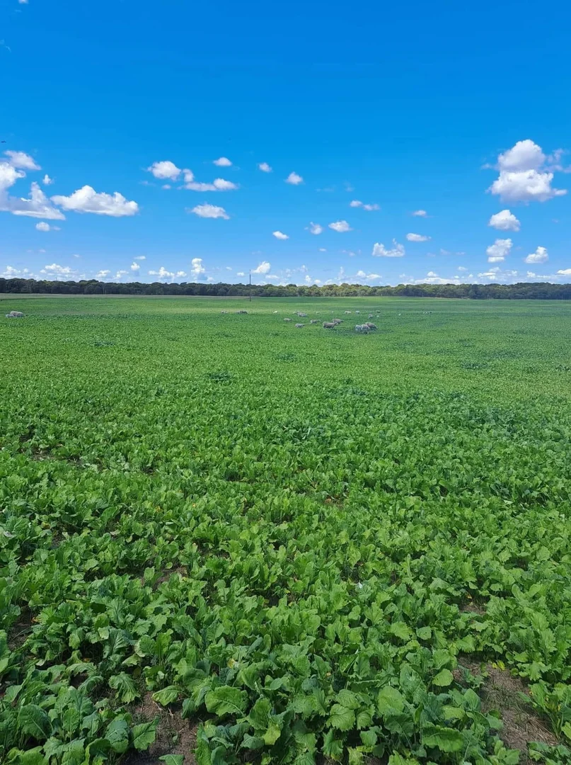 Additional image 32 of 4437 Southern Ports Highway, Robe SA 5276