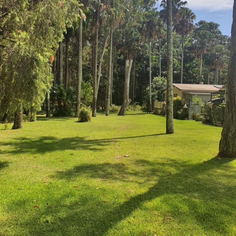 239/2 Evans Road, Canton Beach NSW 2263 Domain