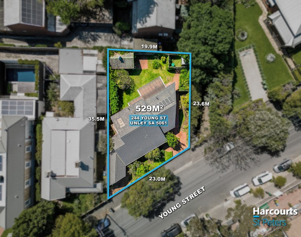 244 Young Street, Unley SA 5061