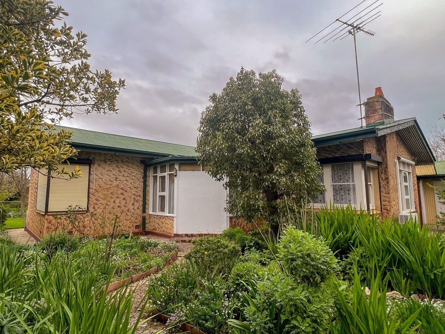 223225 Murray Street, Tanunda SA 5352 House For Rent 435 Domain