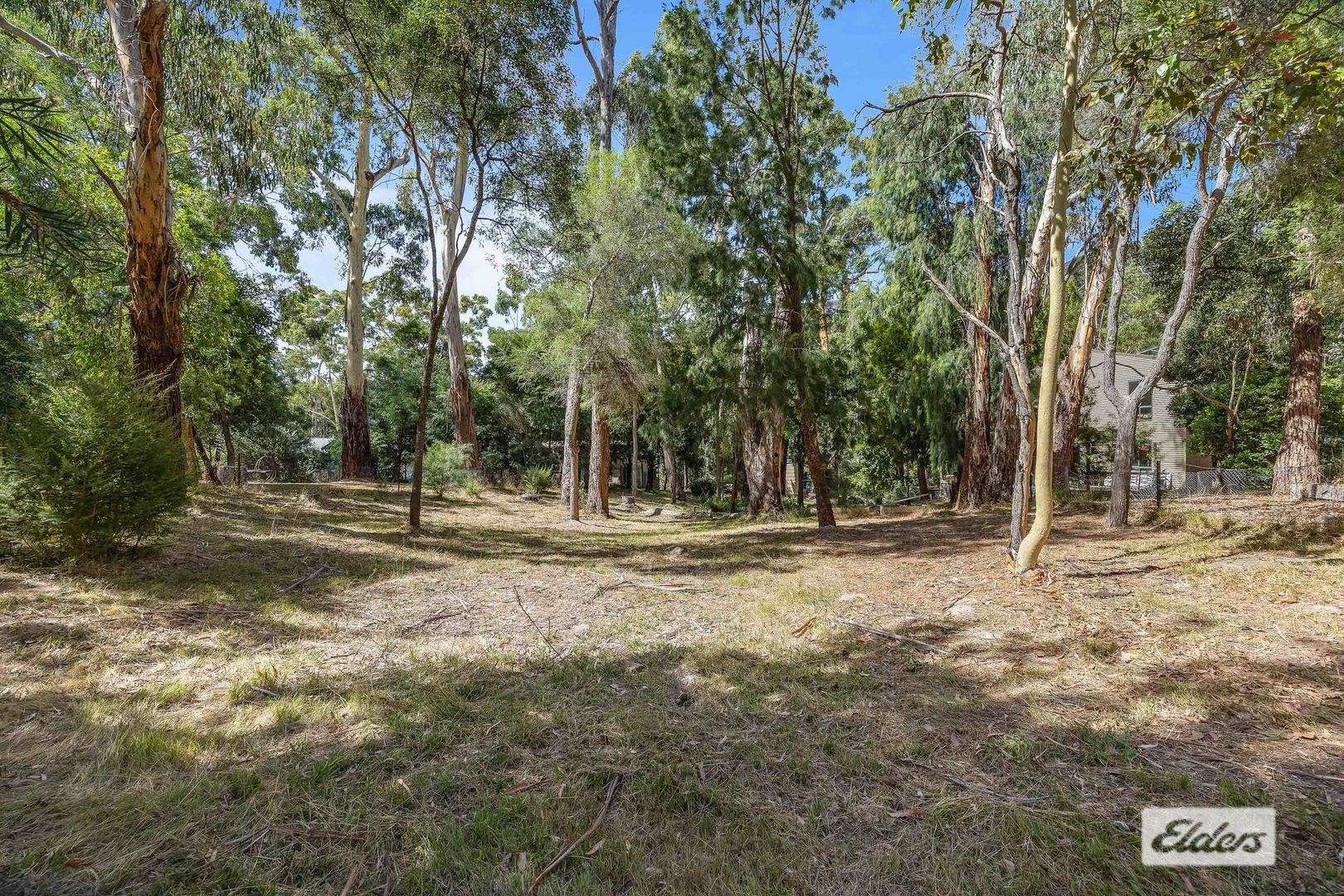 53 Scott Road, Halls Gap VIC 3381 Domain