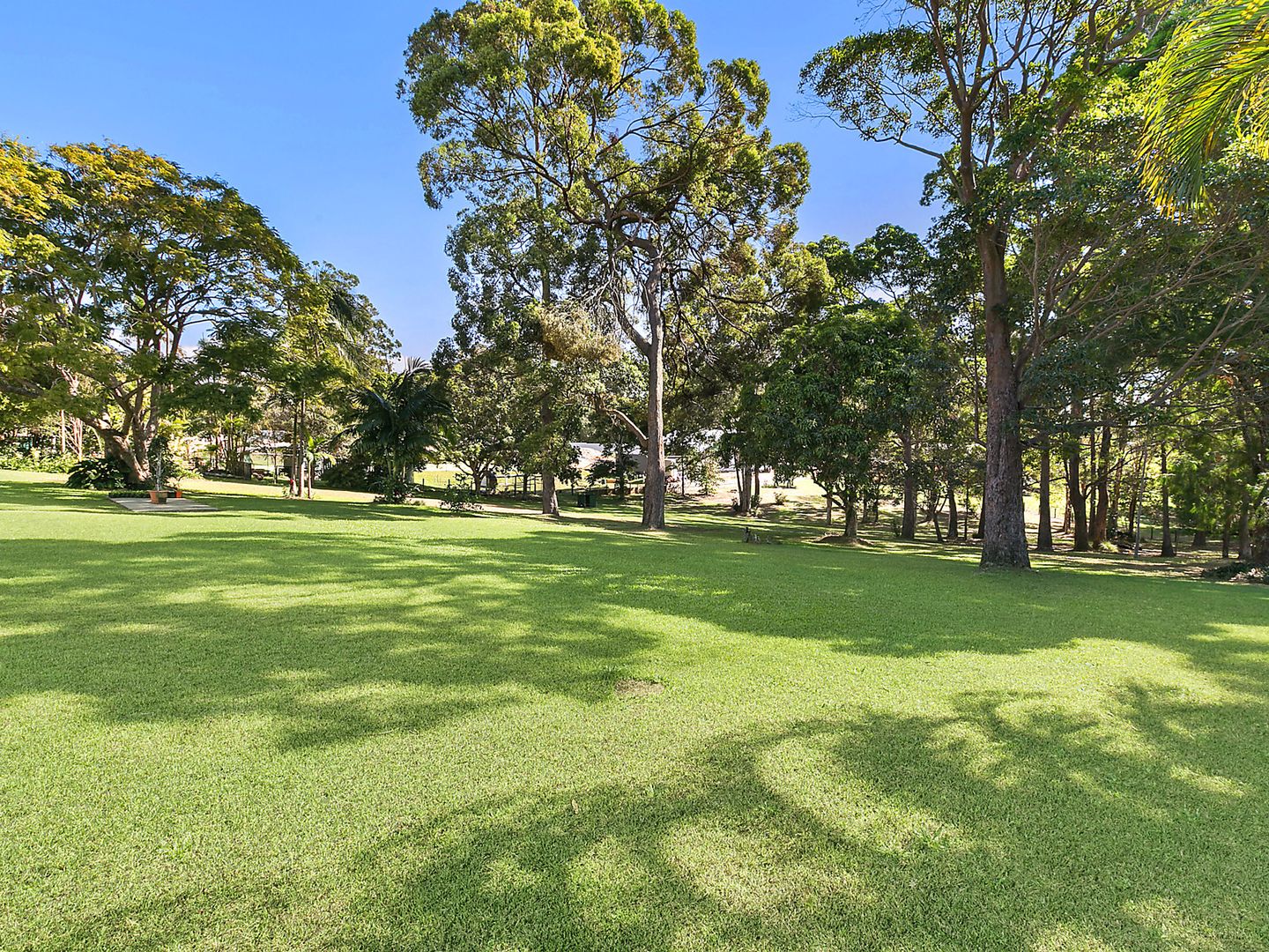 11 Clarkes Road, Diddillibah QLD 4559, Image 2