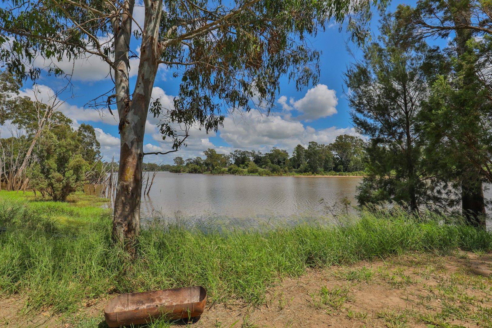 56 Millers Road, Duingal QLD 4671 Specialist Farm for Sale Domain