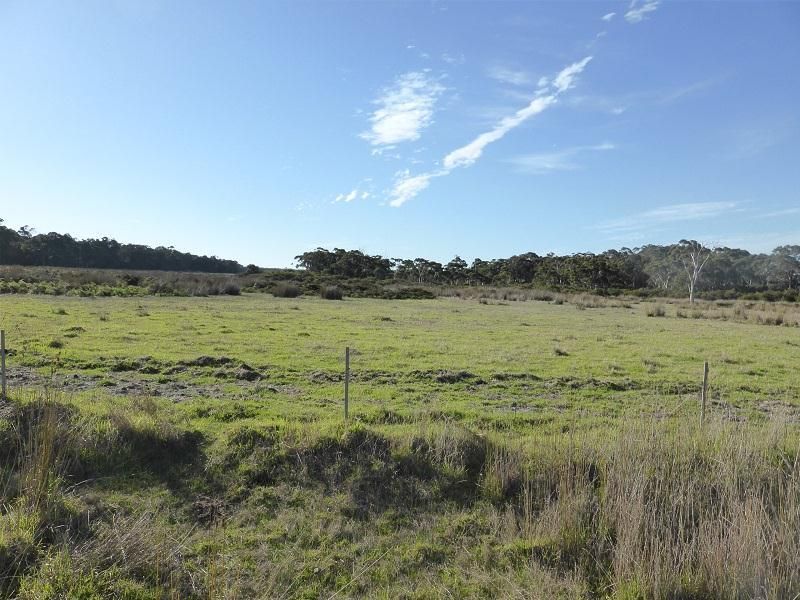 Lot 10 McLeod Creek Road, Karridale WA 6288, Image 0