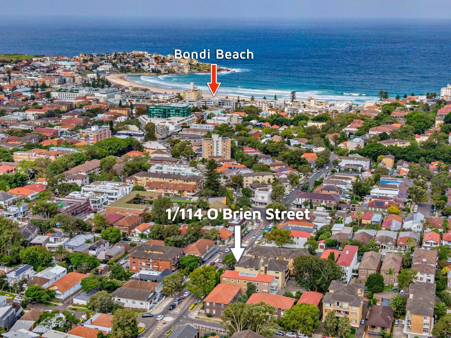 1/114-116 O'Brien Street, Bondi Beach NSW 2026, Image 0