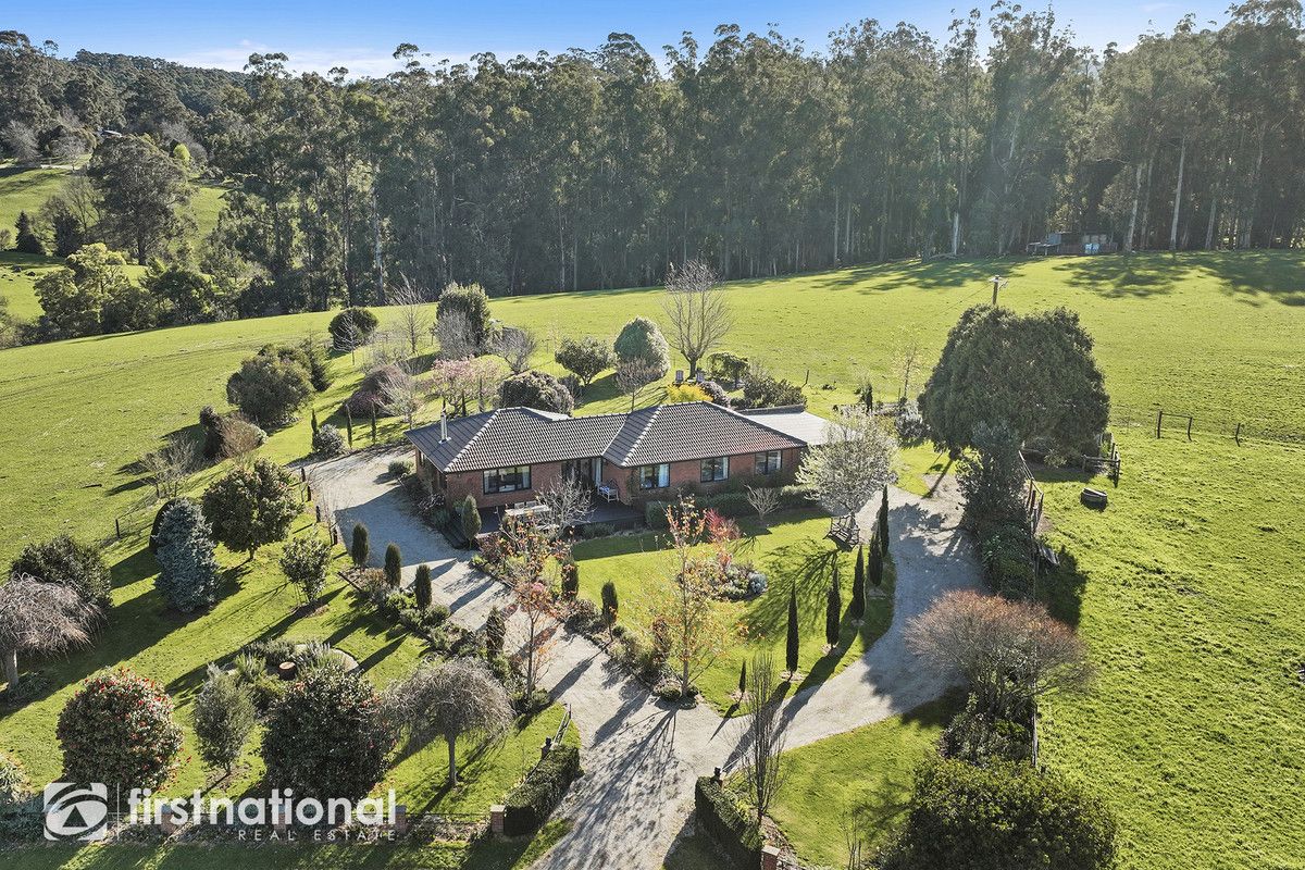 295 North Jindivick Road, Jindivick VIC 3818, Image 0