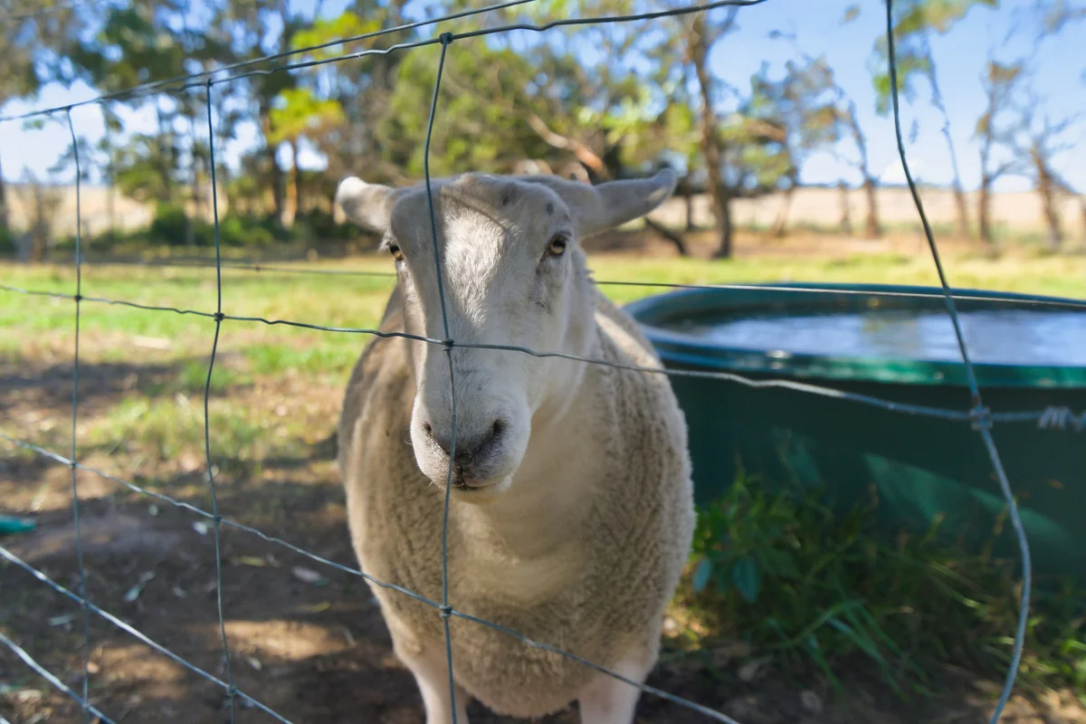 Additional image 32 of 322 Toolong Road, Toolong VIC 3285