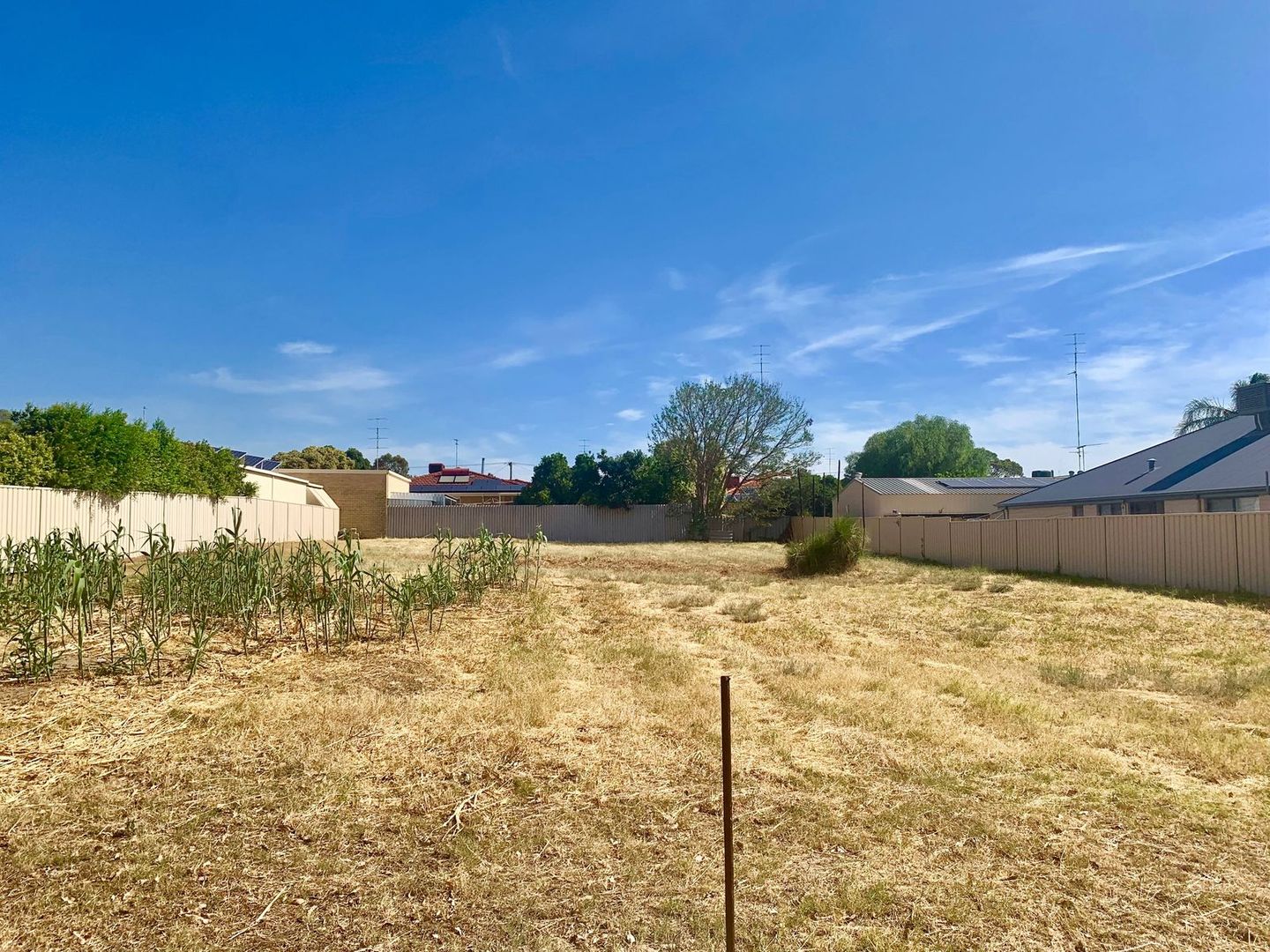 37 Mcdowell Street, Waroon Property History & Address Research Domain