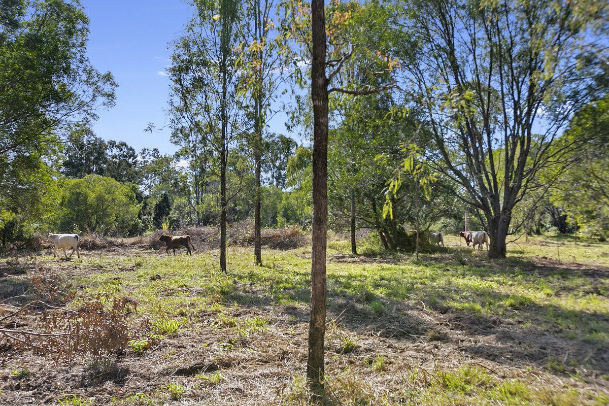 120 Ramseys Road, Mount Urah QLD 4650, Image 2