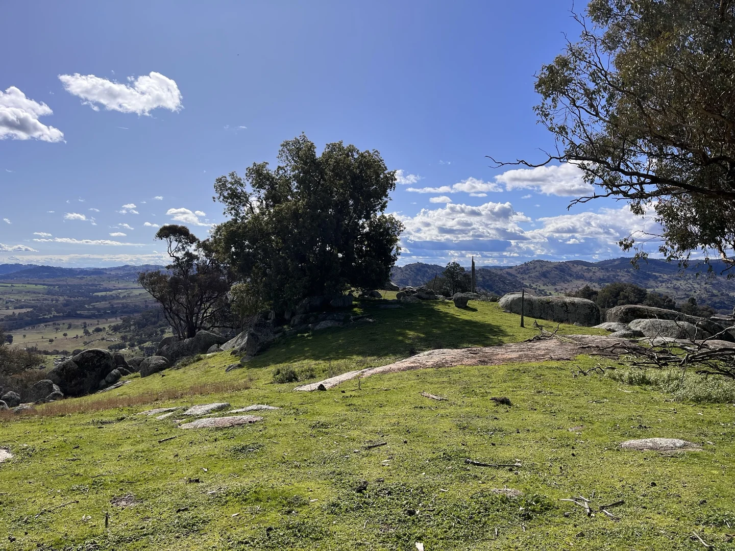 Image 12