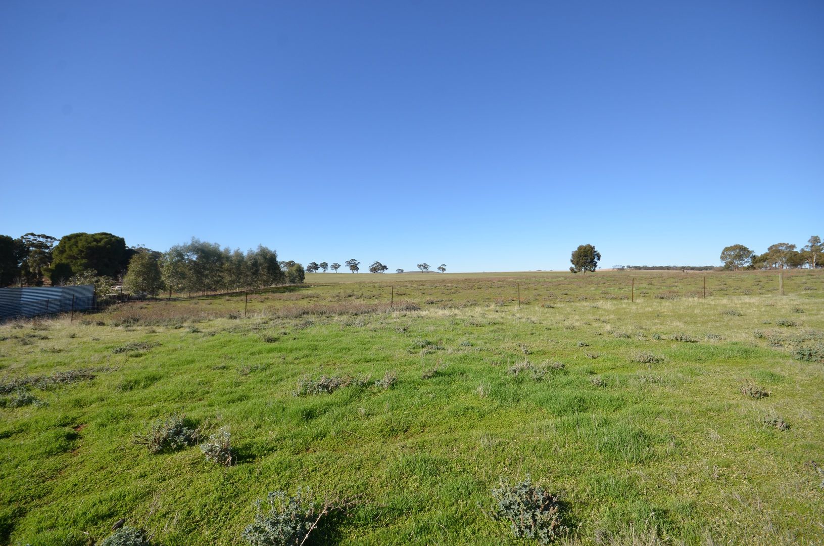 Lot 4 Globe Street, Auburn SA 5451, Image 2