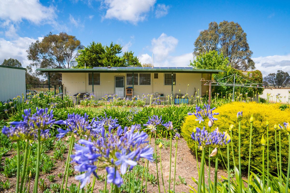 104 Glenrowan Road, Wangaratta South VIC 3678, Image 1