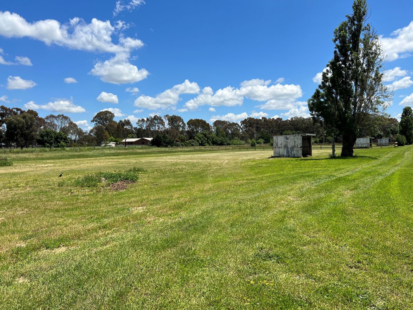 2, 126 Racecourse Road, Benalla VIC 3672 Vacant Land for Sale