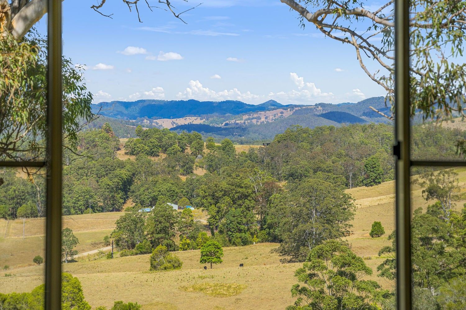1298 Pipeclay Road, Pipeclay NSW 2446, Image 0