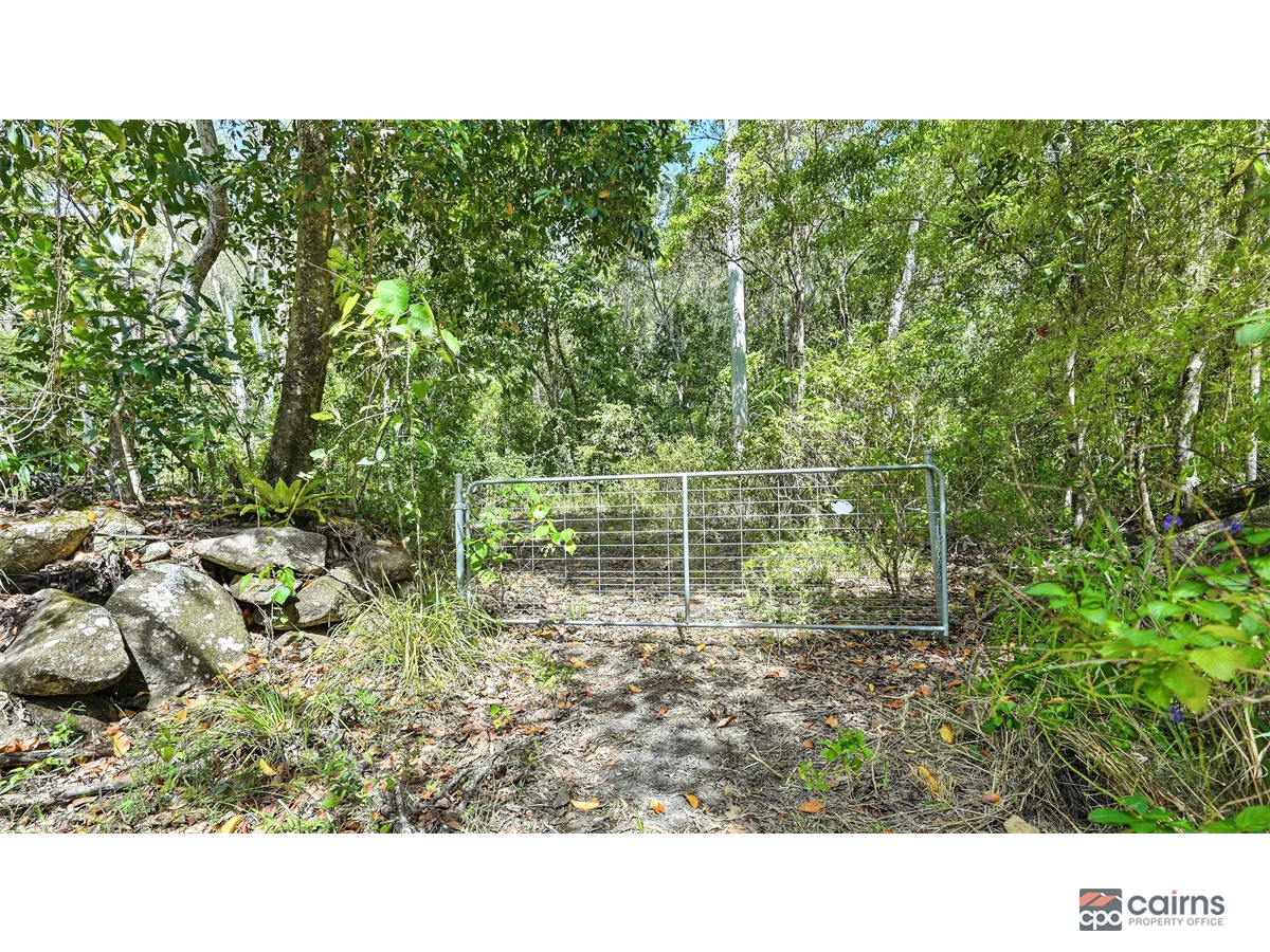 Image 13