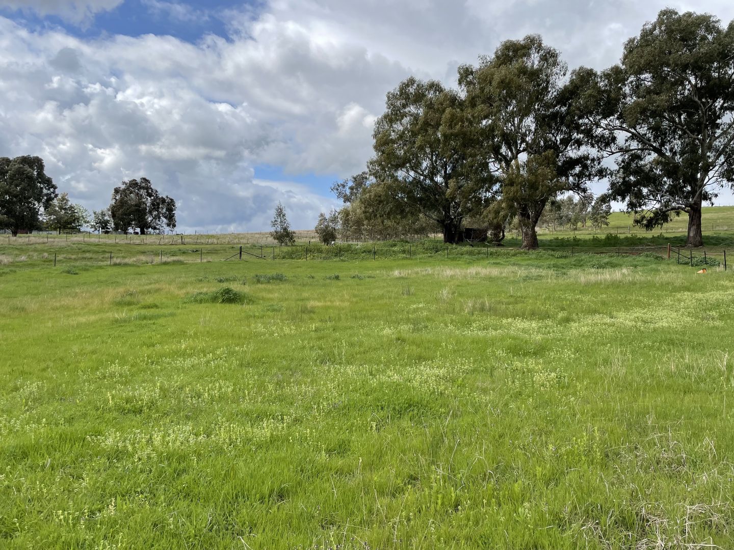 Lot 1 Neil McInerney Street, Gundagai NSW 2722, Image 2