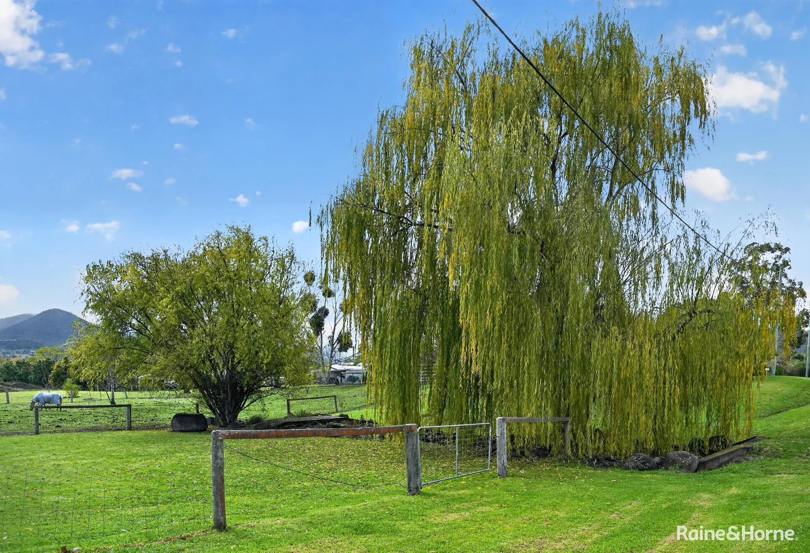 Image 21