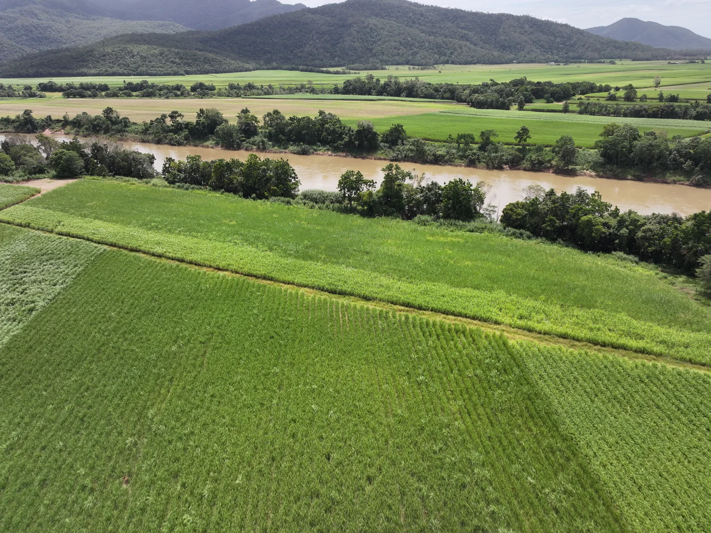 Additional image 7 of 962 Abergowrie Road, Trebonne QLD 4850