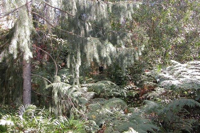 Picture of WENTWORTH FALLS NSW 2782