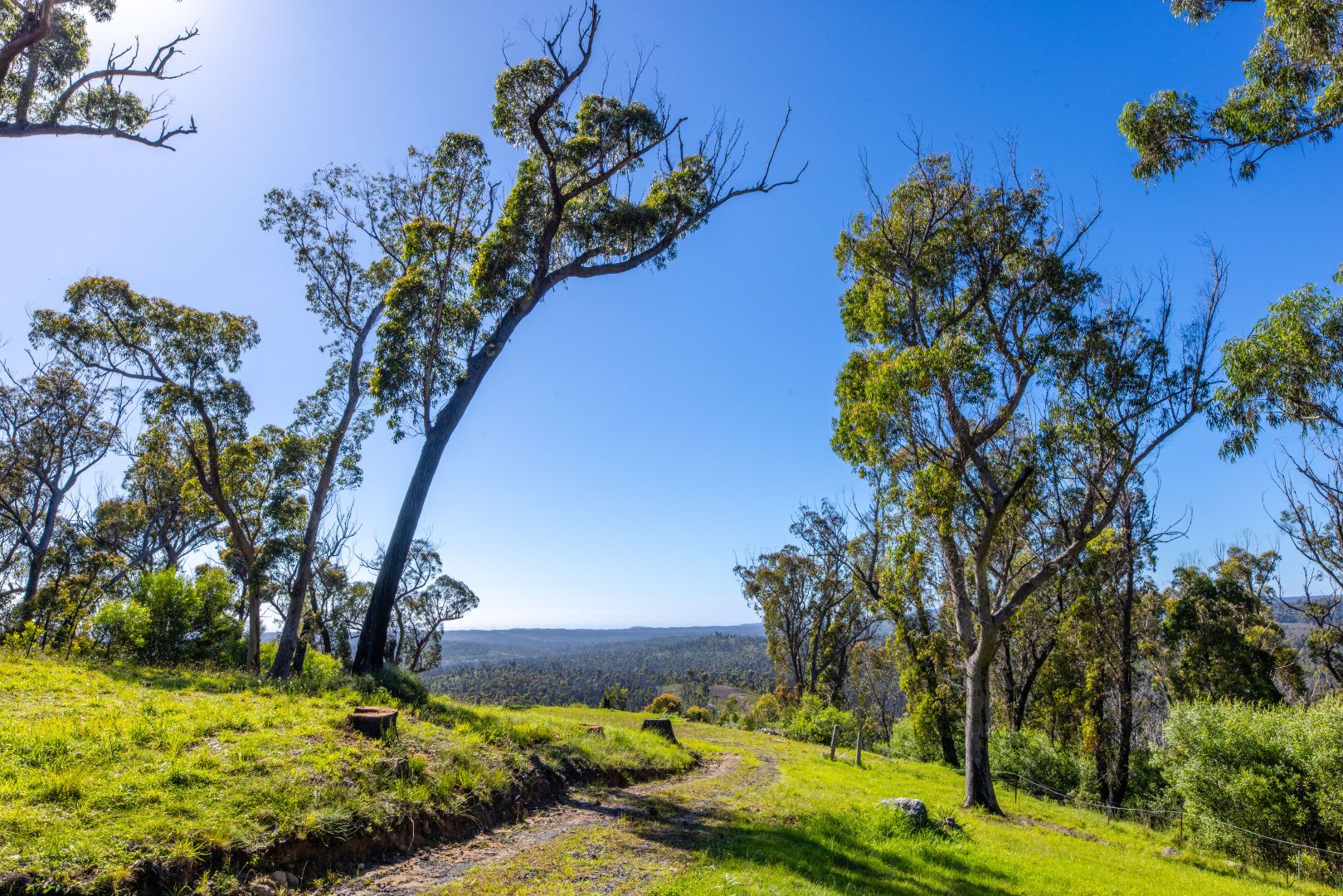 Lot 4 Braidwood Road, Sassafras NSW 2622, Image 2