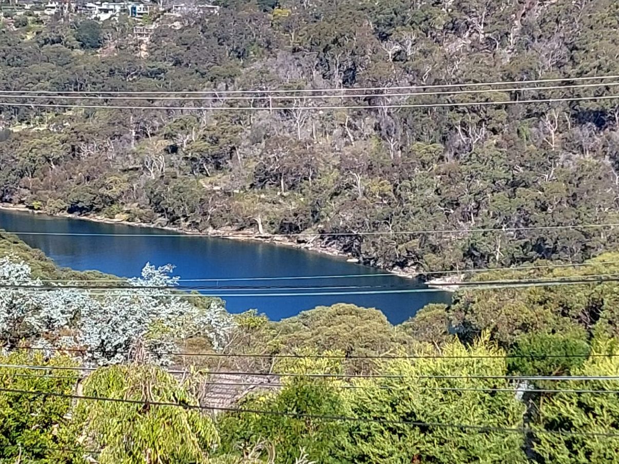 Castle Cove NSW 2069 house for Rent, 490 per week 16566653 Domain