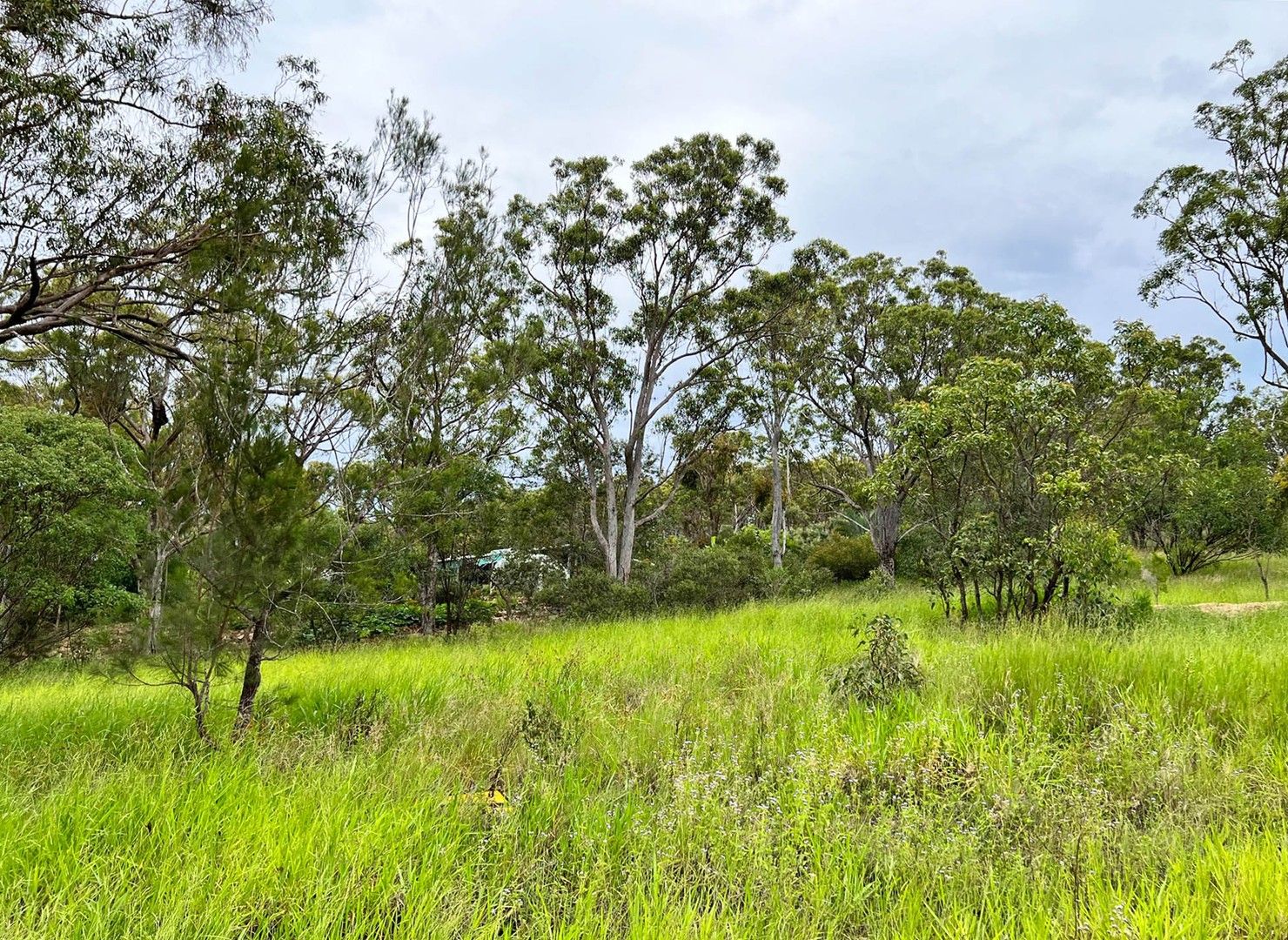 39 River Terrace, Herberton QLD 4887, Image 0